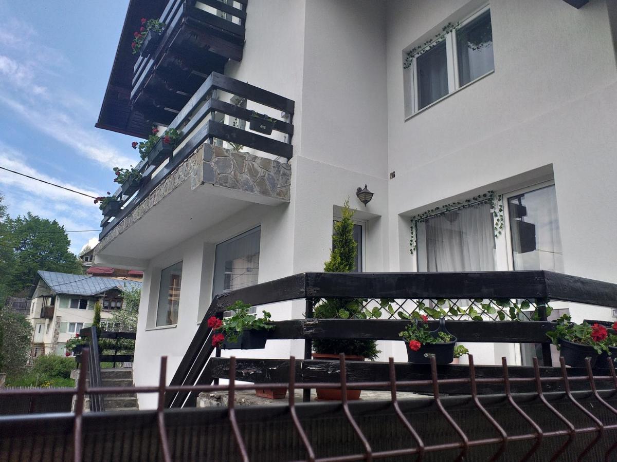 Miraj Hotel Azuga Eksteriør billede
